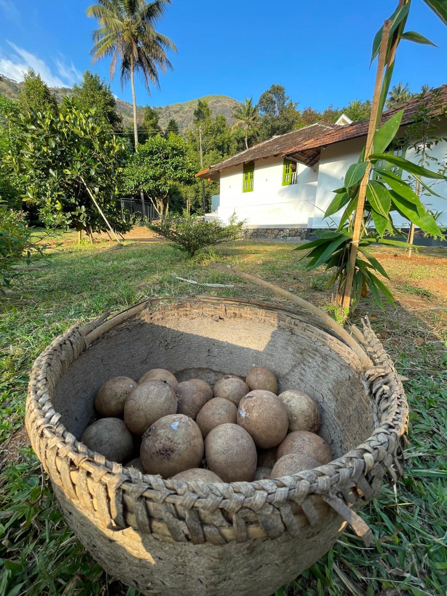 Calm Shack - 2 Bedroom-Boutique Farm Stay Munnar Buitenkant foto