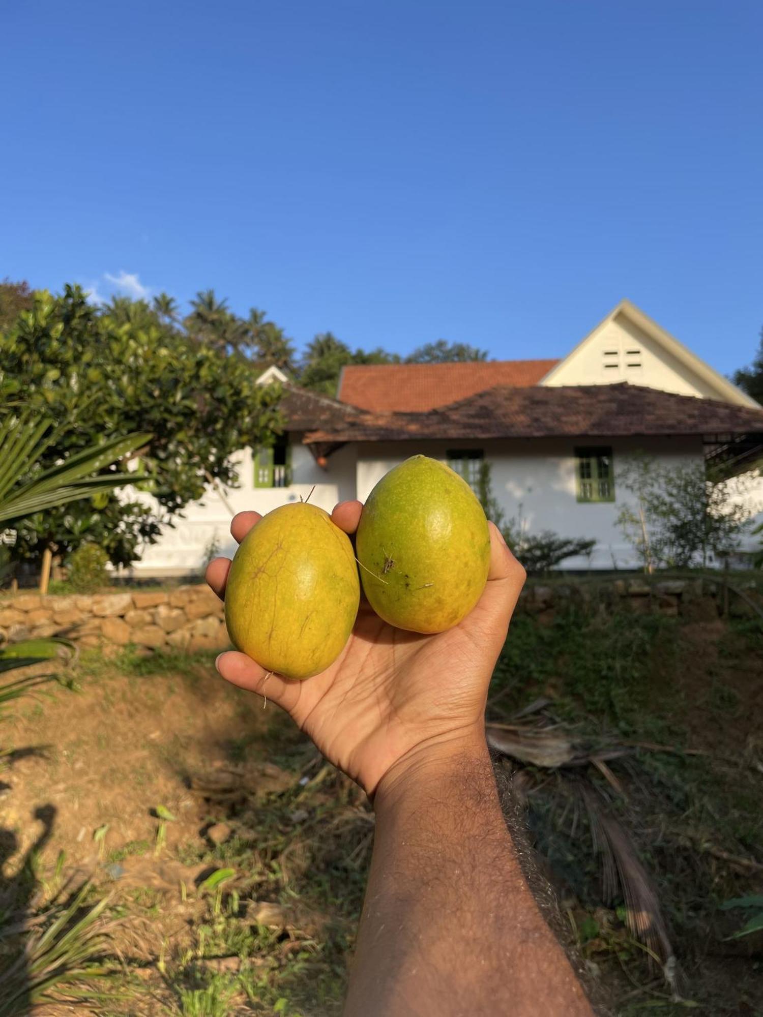 Calm Shack - 2 Bedroom-Boutique Farm Stay Munnar Buitenkant foto
