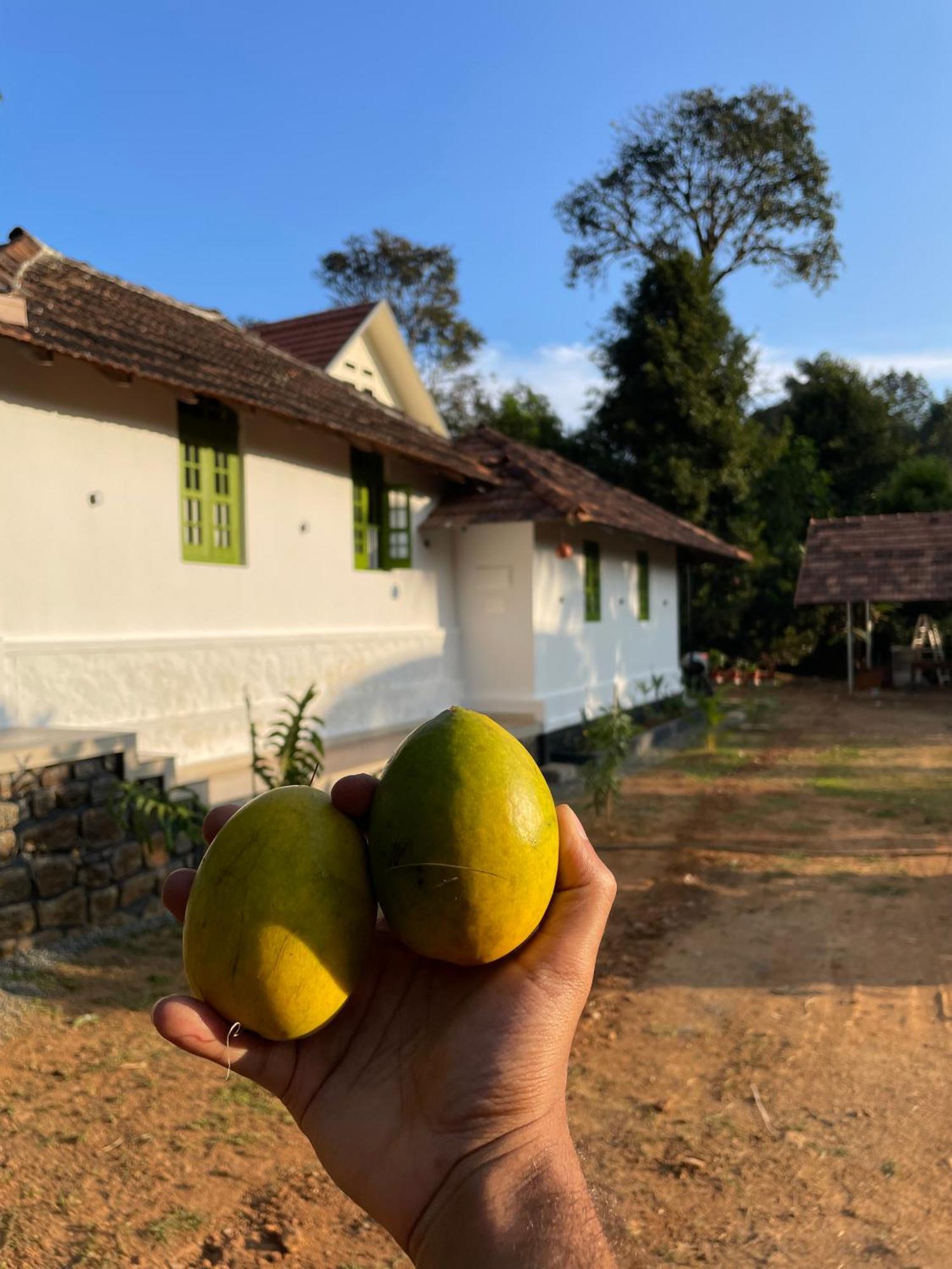 Calm Shack - 2 Bedroom-Boutique Farm Stay Munnar Buitenkant foto
