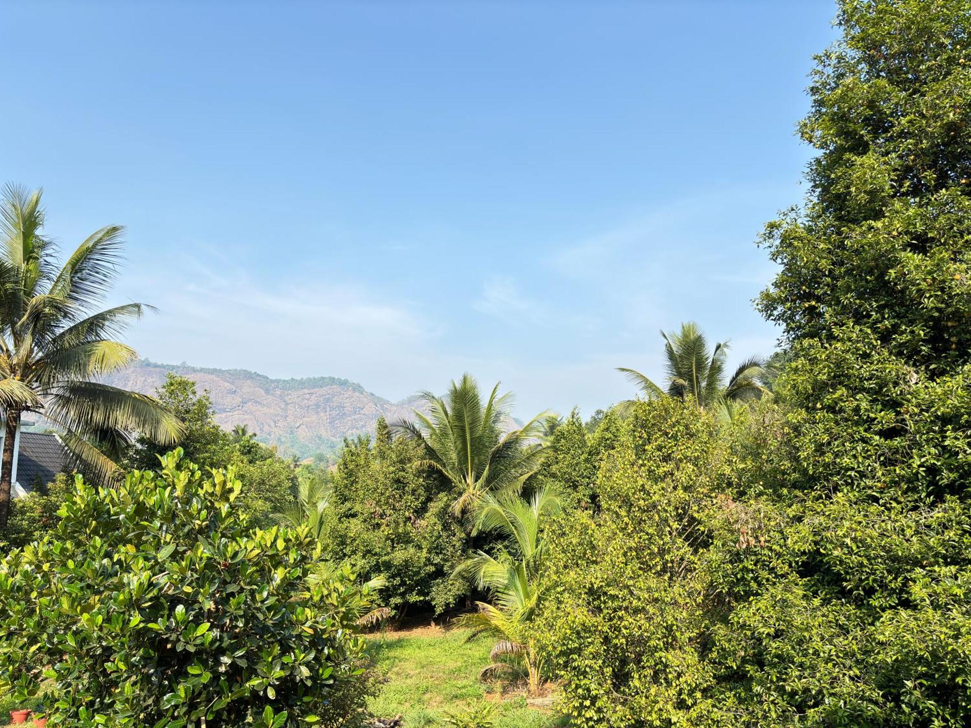 Calm Shack - 2 Bedroom-Boutique Farm Stay Munnar Buitenkant foto