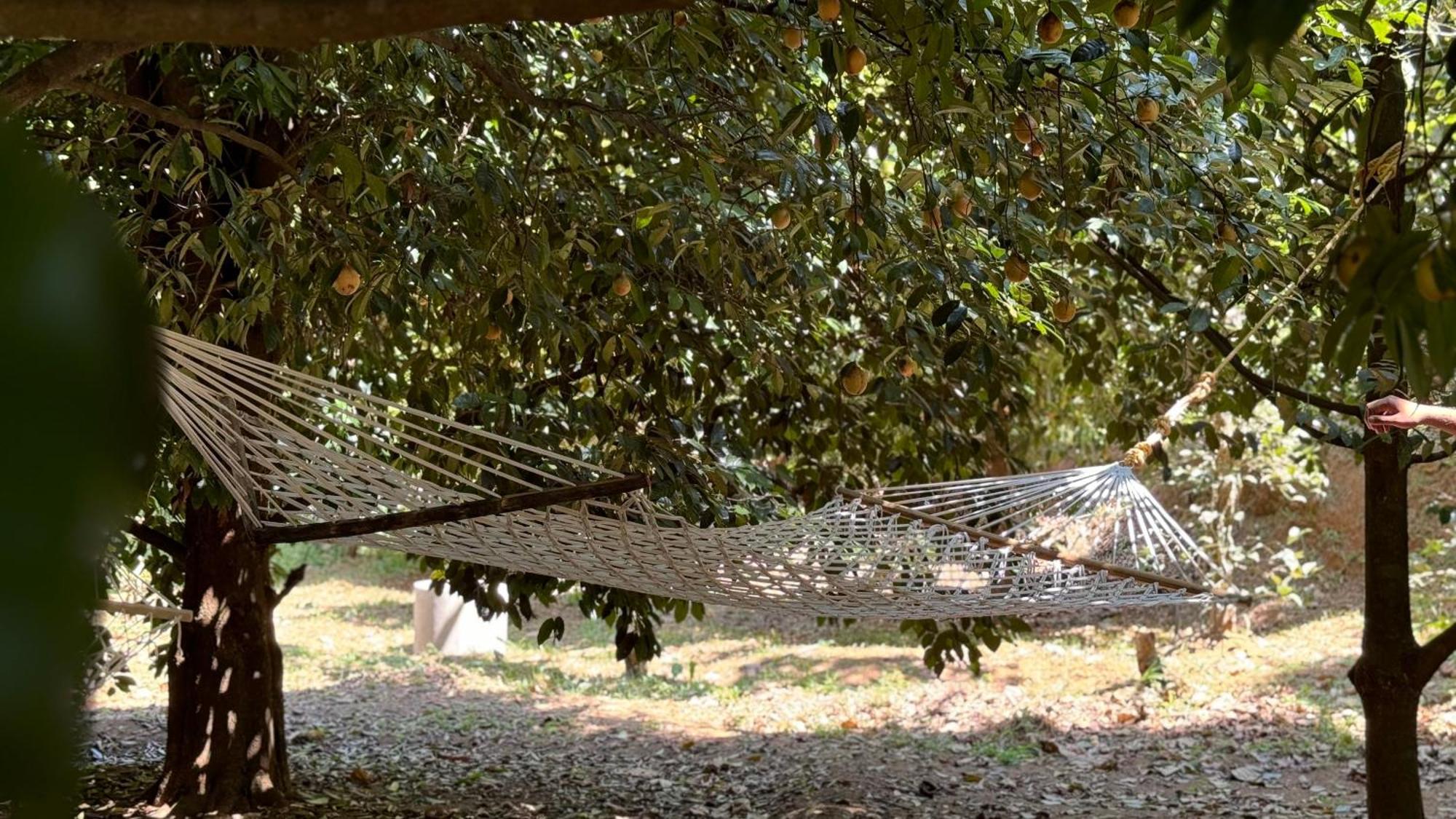 Calm Shack - 2 Bedroom-Boutique Farm Stay Munnar Buitenkant foto